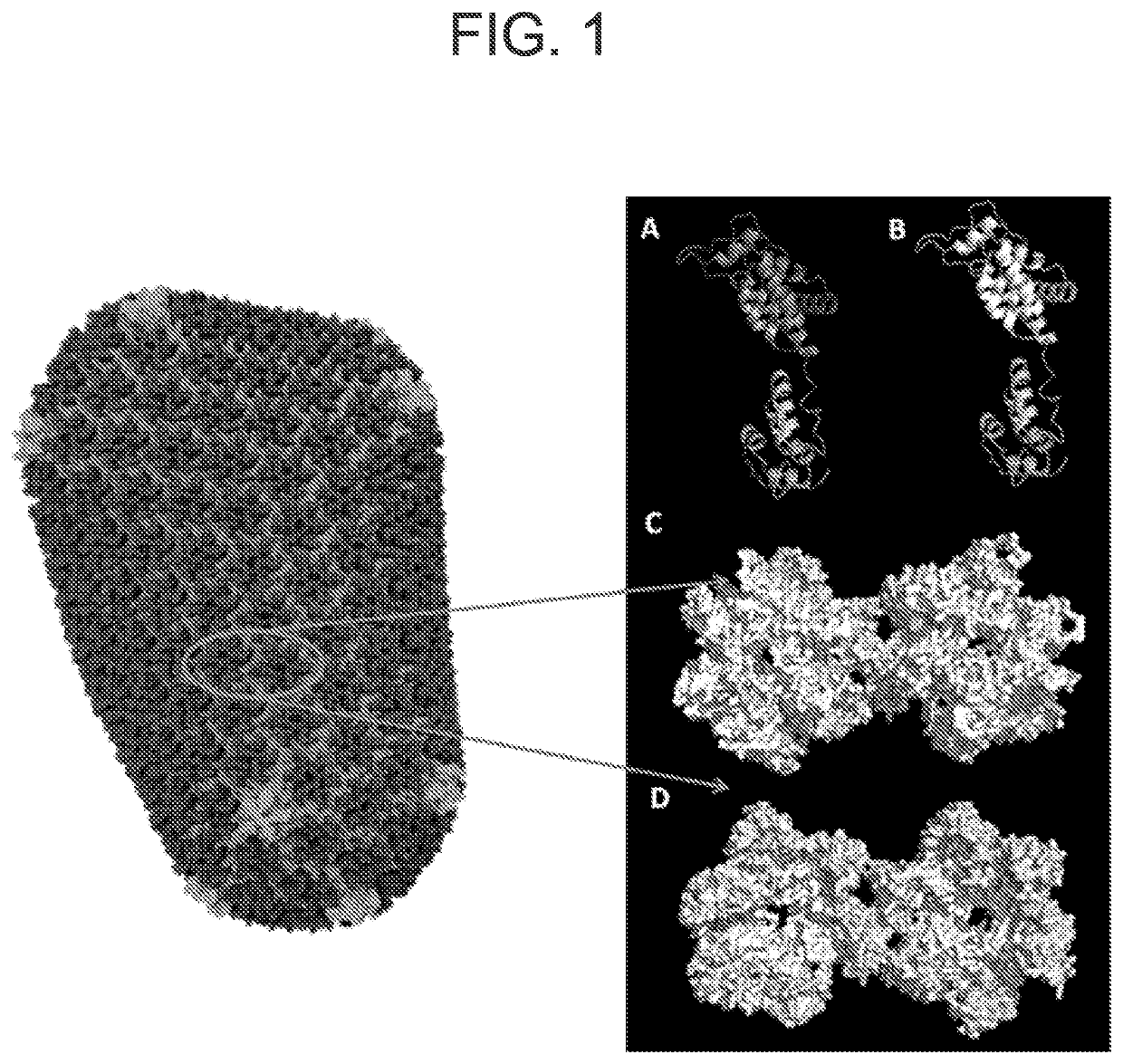 Method for defining a personalized vaccine against hiv/aids