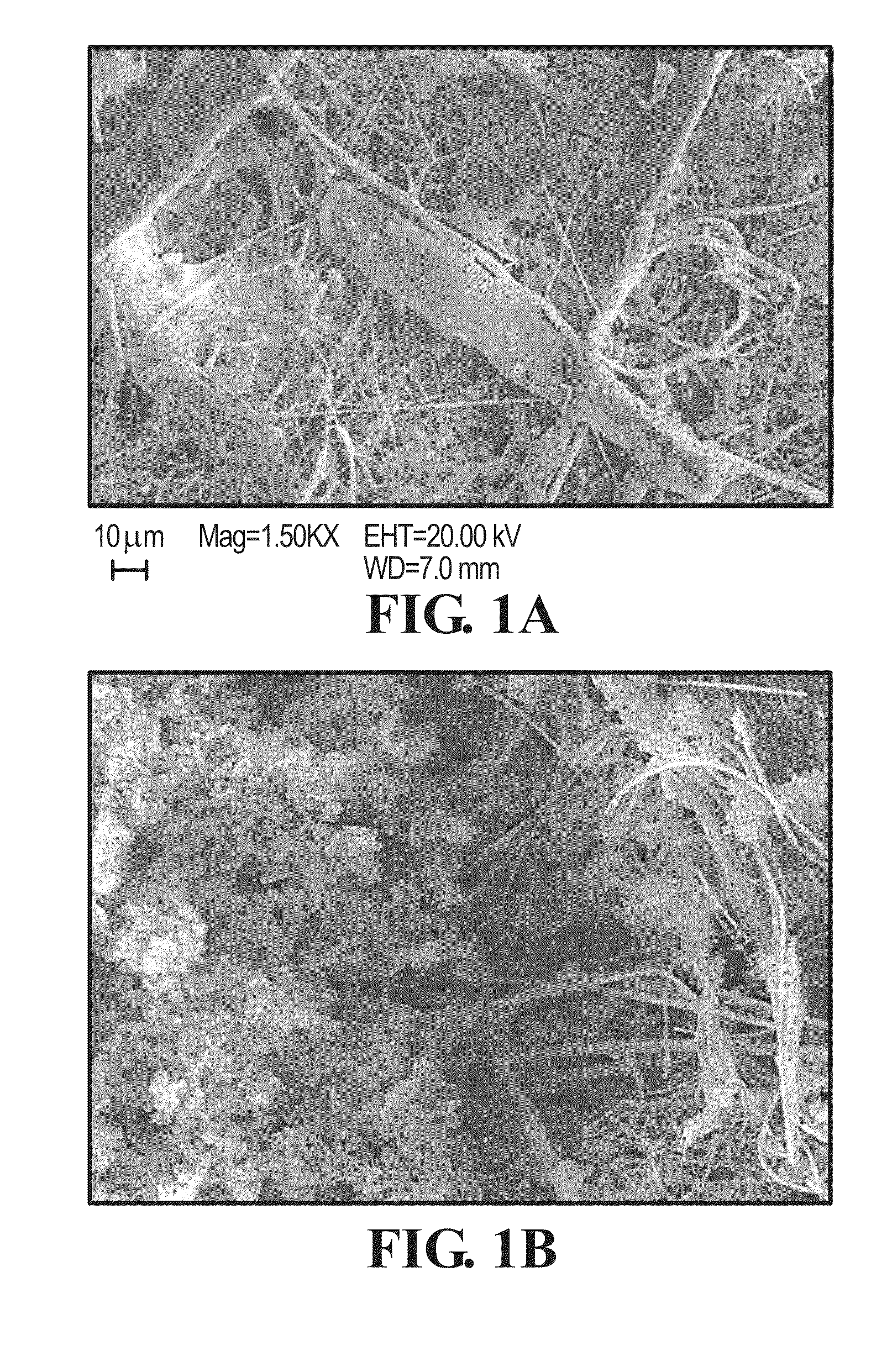 Disinfecting and detoxifying meta-aramid particles