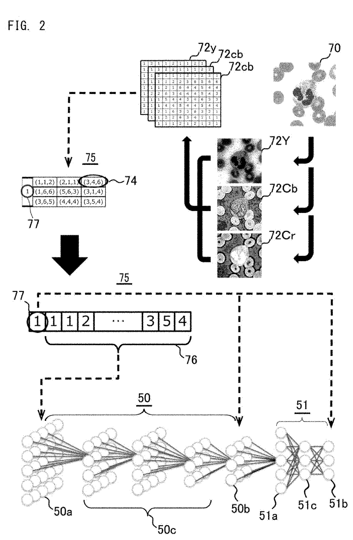 Image analysis method, apparatus, non-transitory computer readable medium, and deep learning algorithm generation method