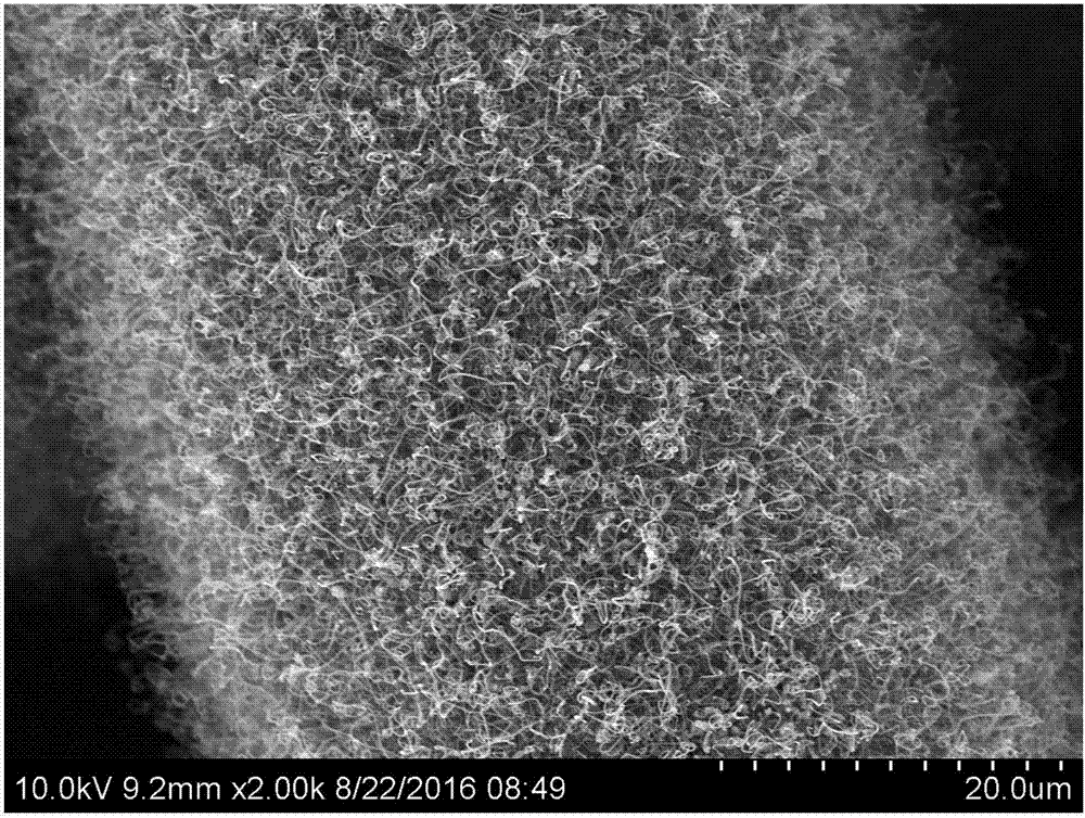 Lithium-oxygen secondary battery cathode and preparation method thereof, lithium-oxygen secondary battery