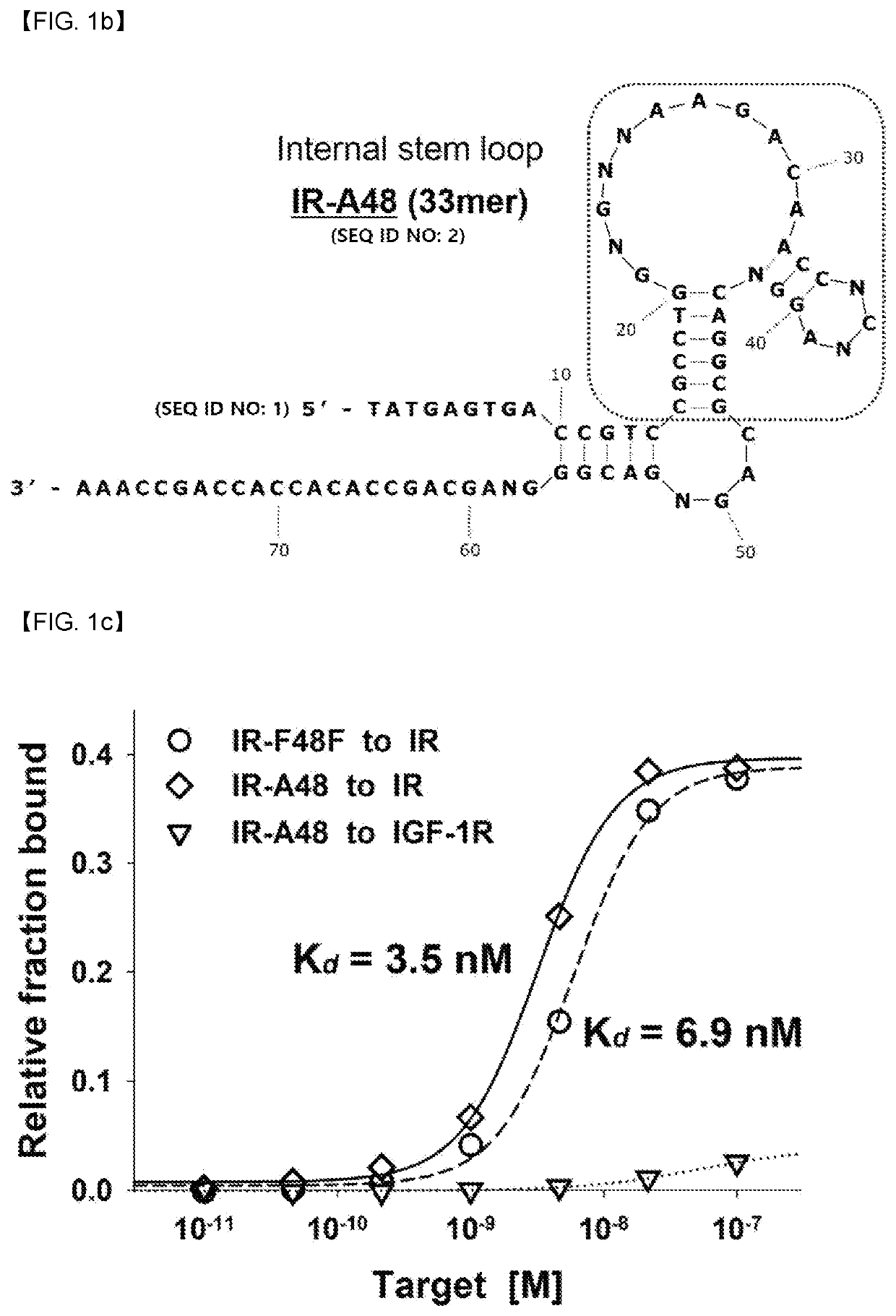 Aptamer against insulin receptor and pharmaceutical compostion containing the same