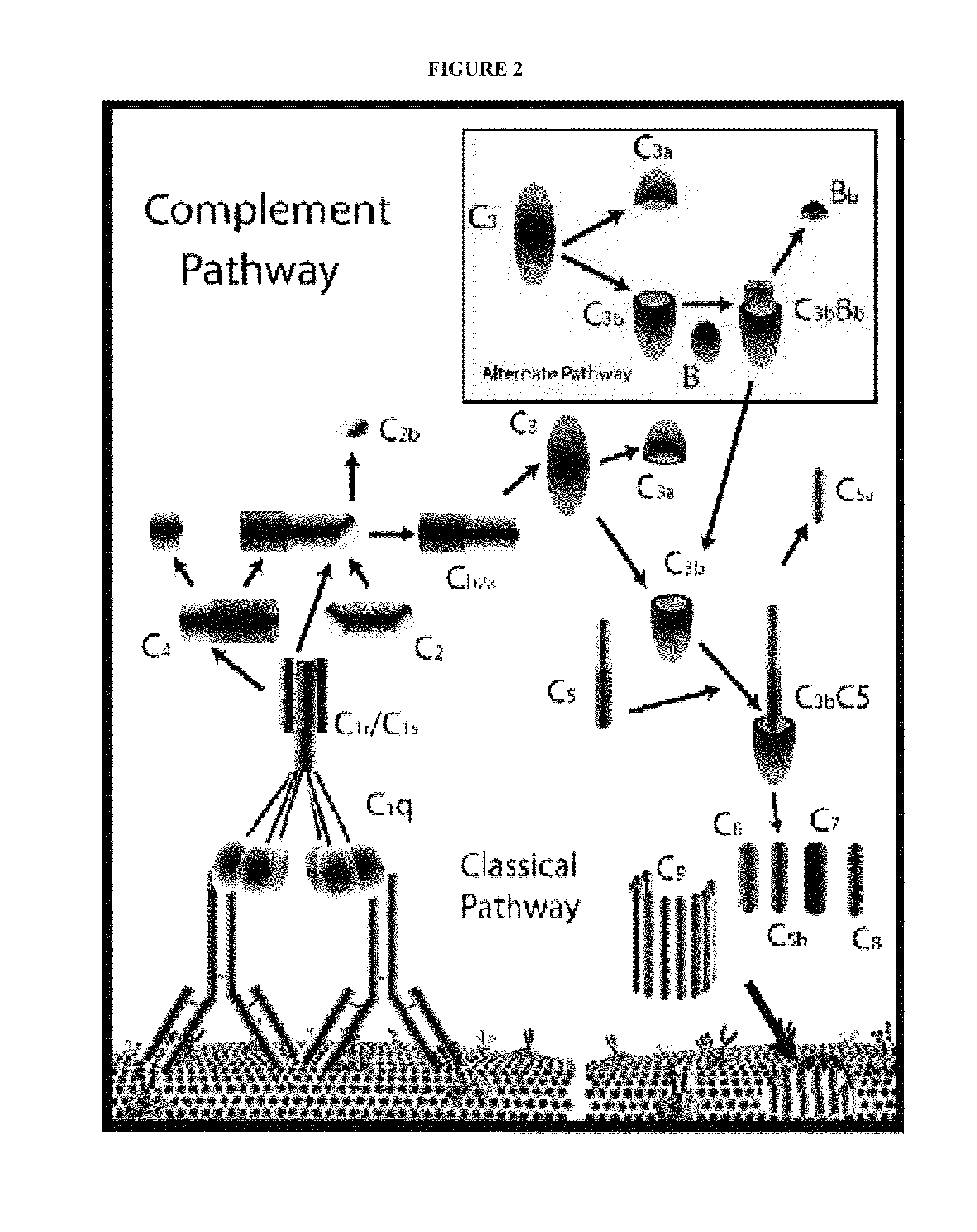 Methods and compositions for altering cell function