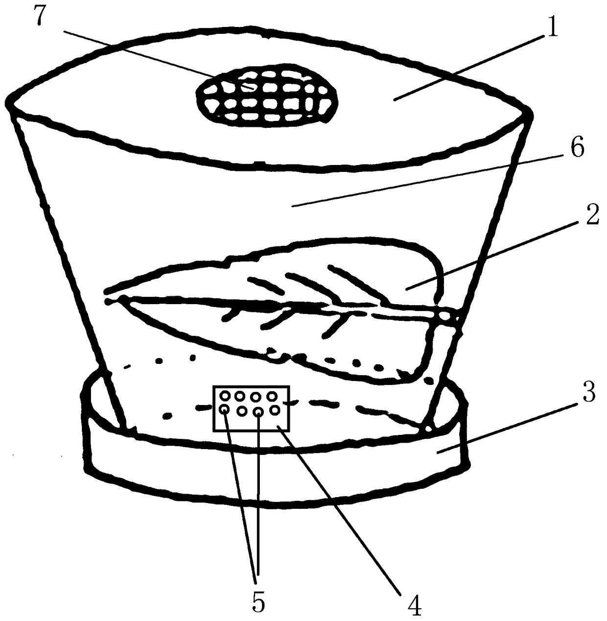 Method for efficiently and intensively collecting natural enemy oligota sp. insect pupae