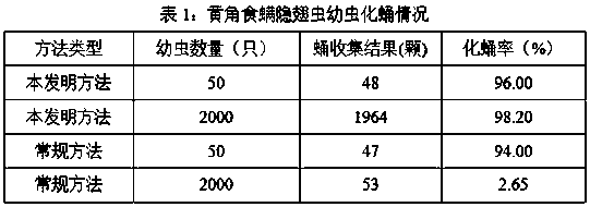 Method for efficiently and intensively collecting natural enemy oligota sp. insect pupae