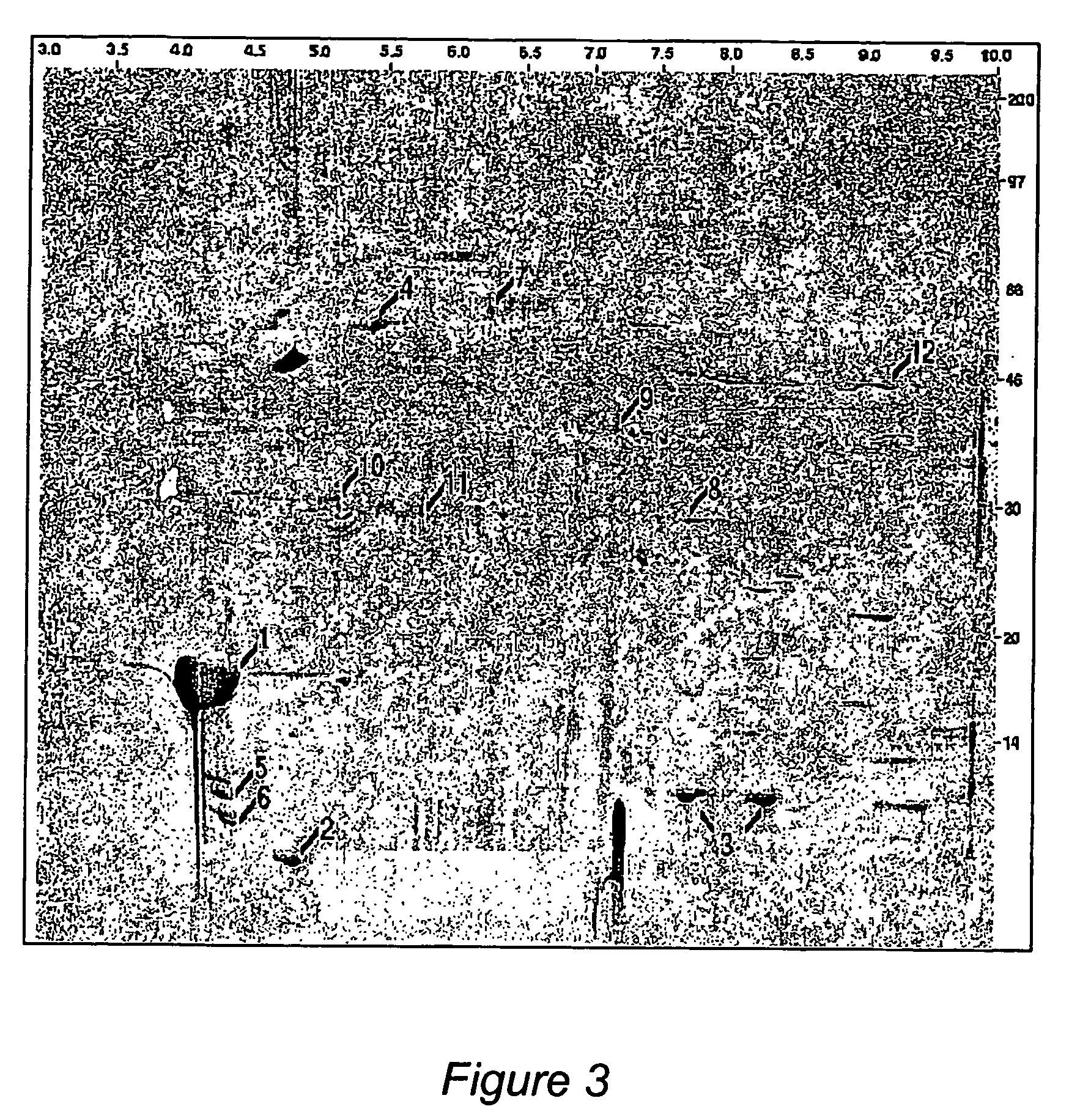 Method for isolating subpopulations of proteins that engage in protein-protein interactions