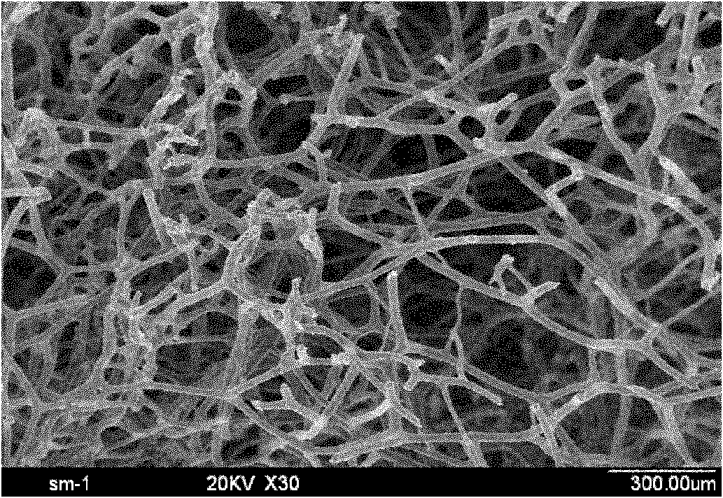 Method for preparing mesh-shaped bionic bone porous stent material