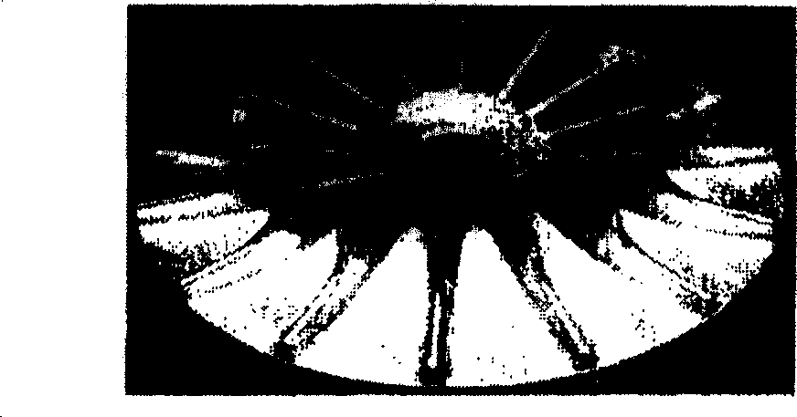 Gas turbine blower impeller isothermy die forging method