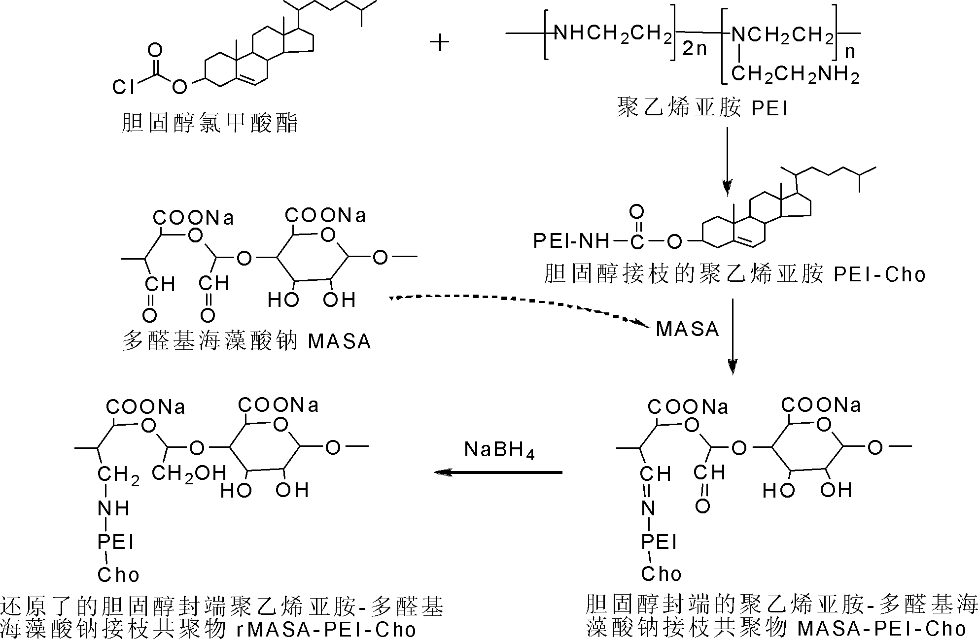 Lipopolysaccharide amine cationic polymer and preparation method and application thereof