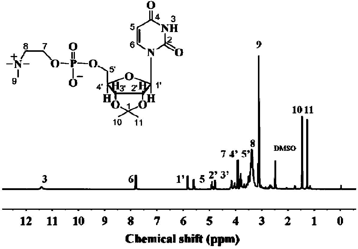 Supermolecule phospholipid based on nucleic acid bases, preparation method of supermolecule phospholipid and liposome