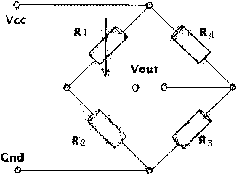 T-shaped sensitive body of vector hydrophone