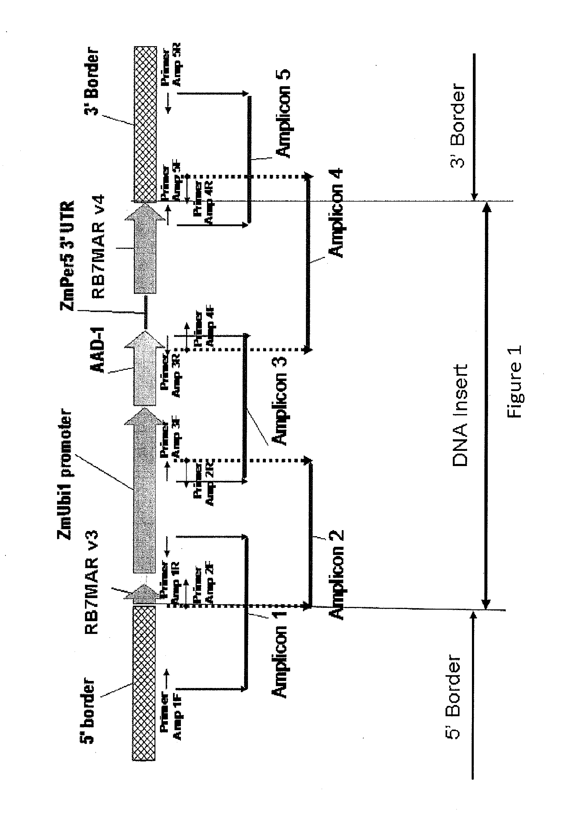 Detection of aad1 event das-40278-9