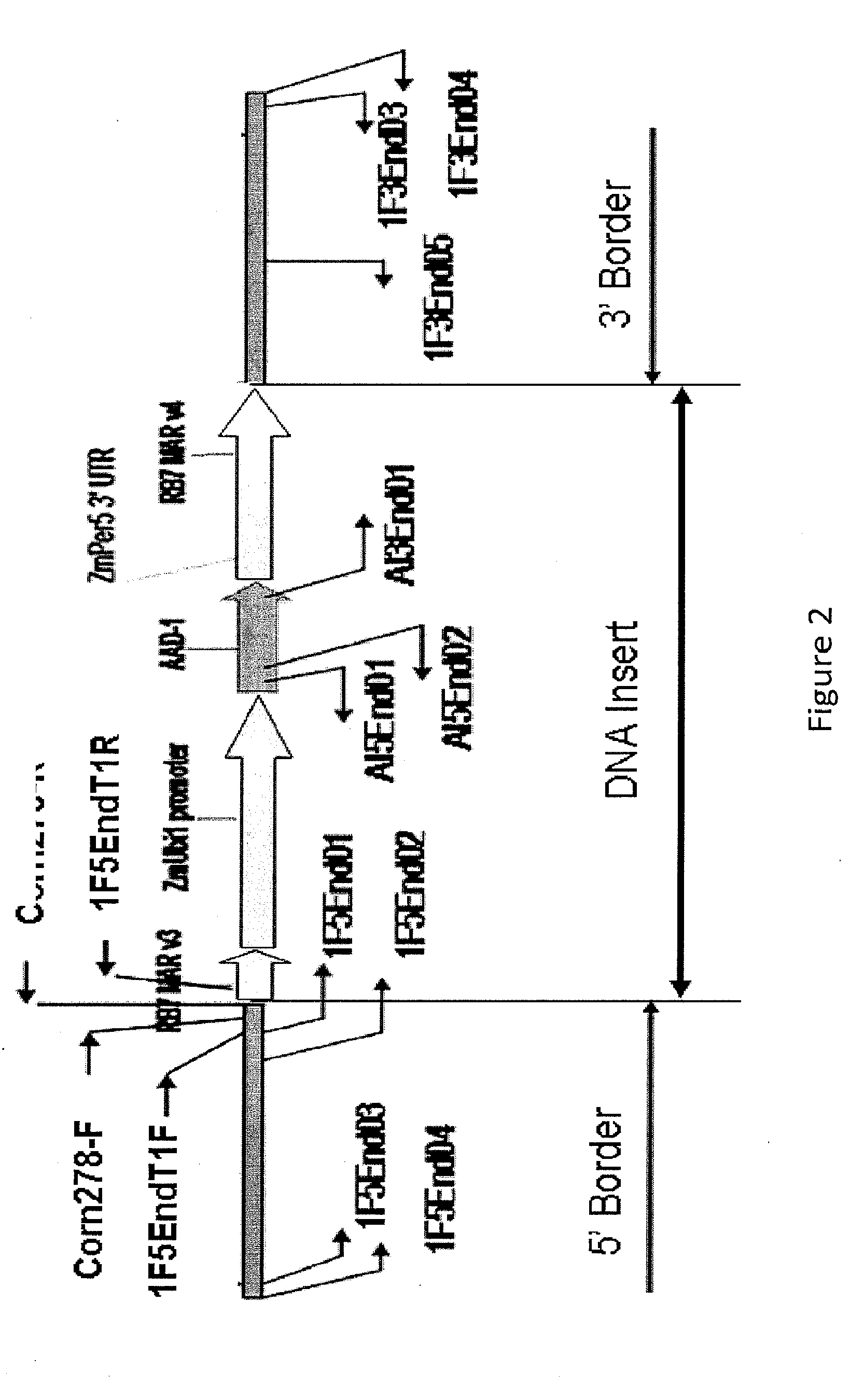 Detection of aad1 event das-40278-9