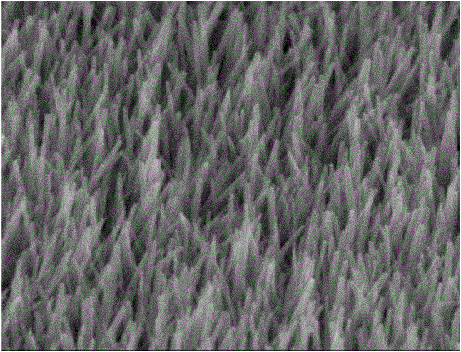 Preparation and application of graphene/zinc oxide nanowire array/three-dimensional foam graphene composite material