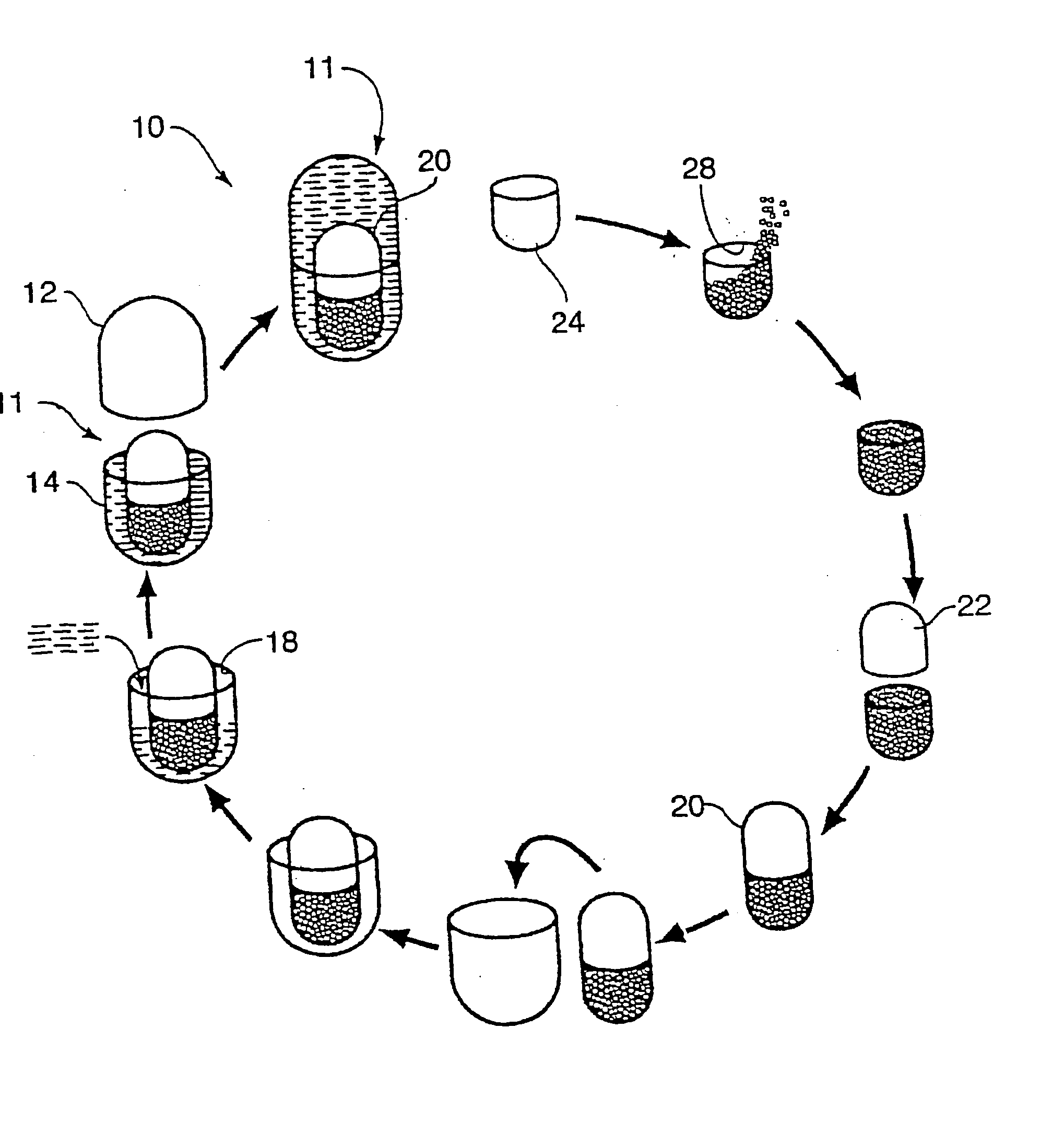 Multi-phase, multi-compartment capsular delivery apparatus and methods for using same