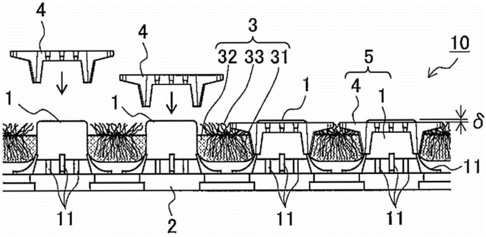 Greened parking lot, planting unit protection member, and greened parking lot constituent member unit