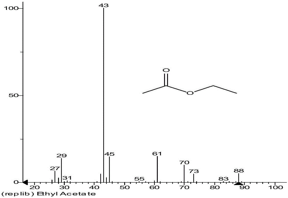 Saccharomycete for high-yield production of ethyl acetate under low temperature and application thereof