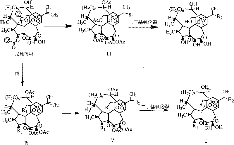 Antitumor drug (hydroxyl morpholine) and derivative thereof as well as preparation method and application thereof