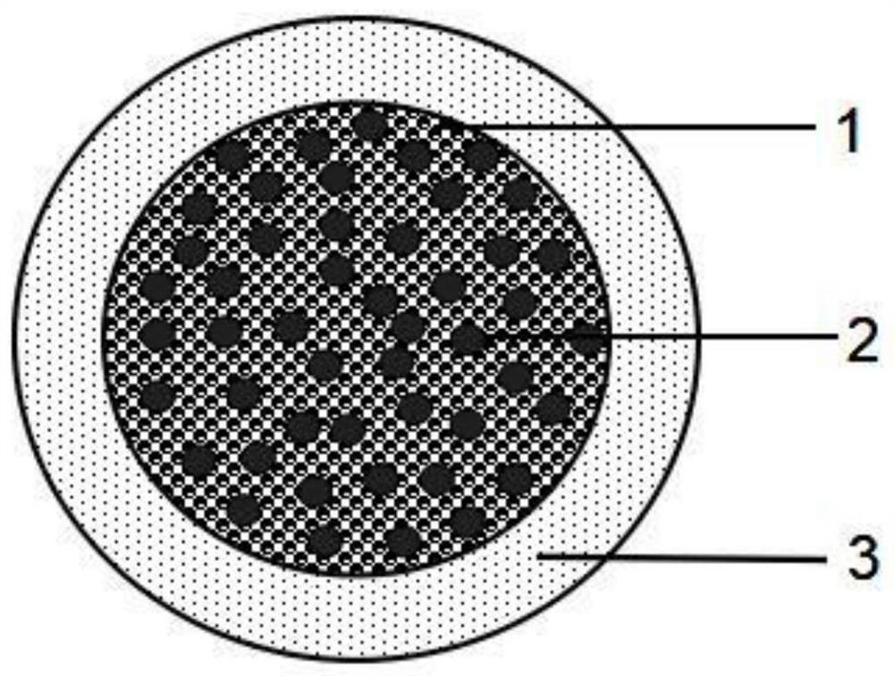 Special magnesium-containing fertilizer with soil conditioning function for citrus as well as preparation method and fertilization method of special magnesium-containing fertilizer