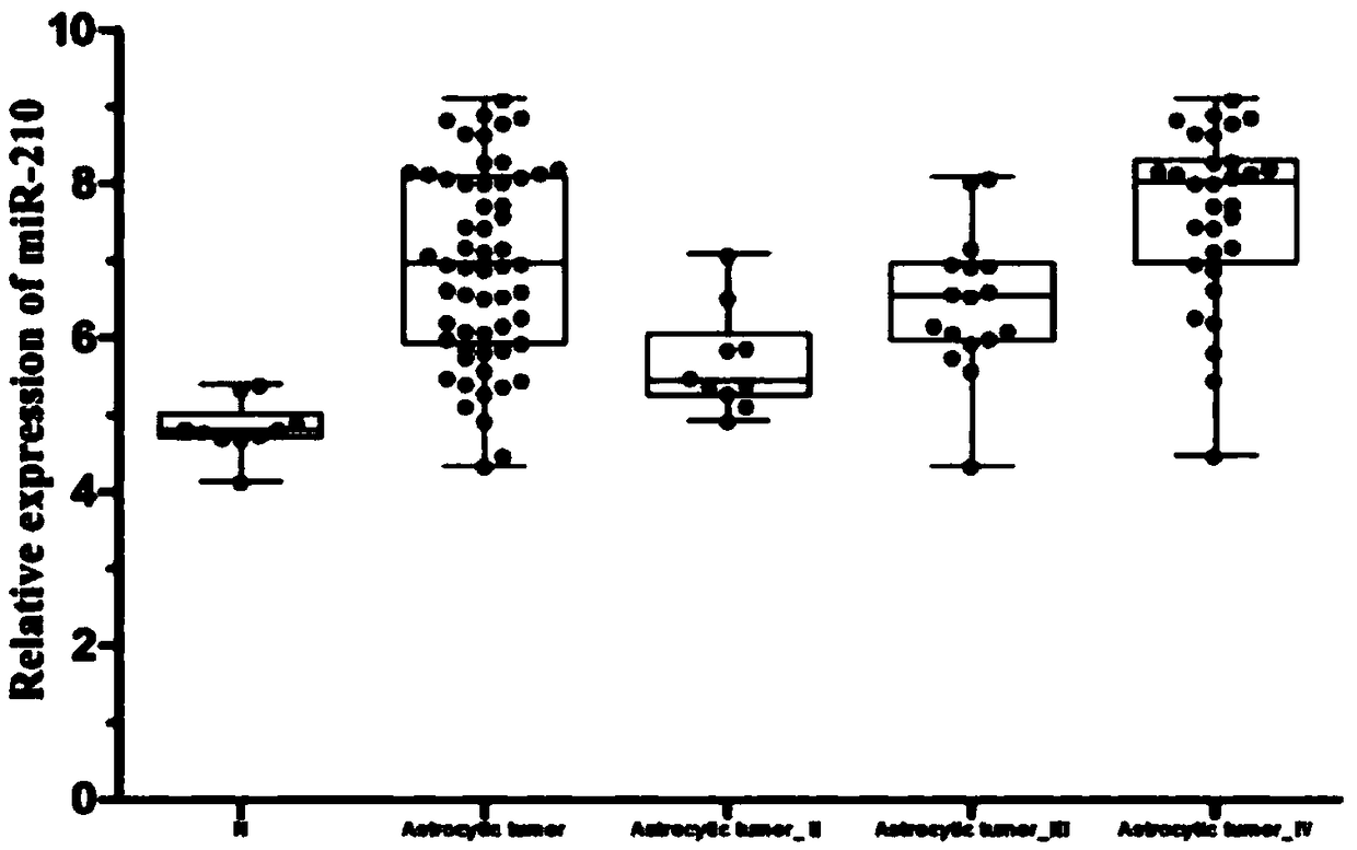 The experimental method of MiR-210 in the verification of relevant targets in glioma