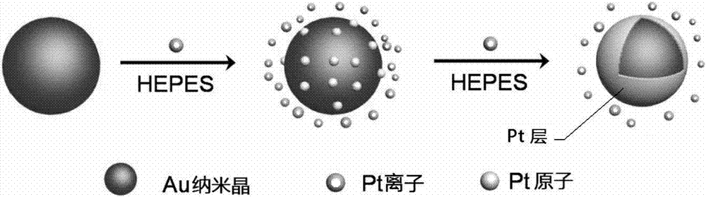 Platinum coated gold nanocrystal material and preparation method and application thereof