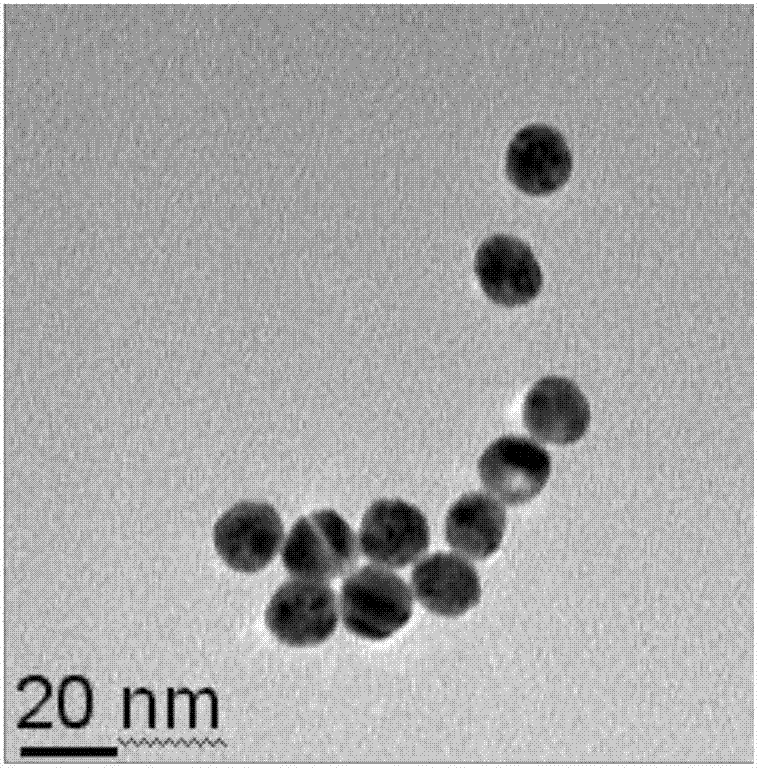 Platinum coated gold nanocrystal material and preparation method and application thereof