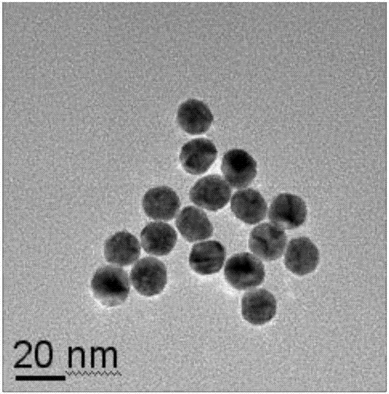 Platinum coated gold nanocrystal material and preparation method and application thereof