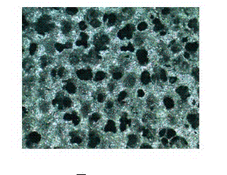 Preparation method of medical metal implanted material porous niobium