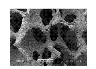 Preparation method of medical metal implanted material porous niobium