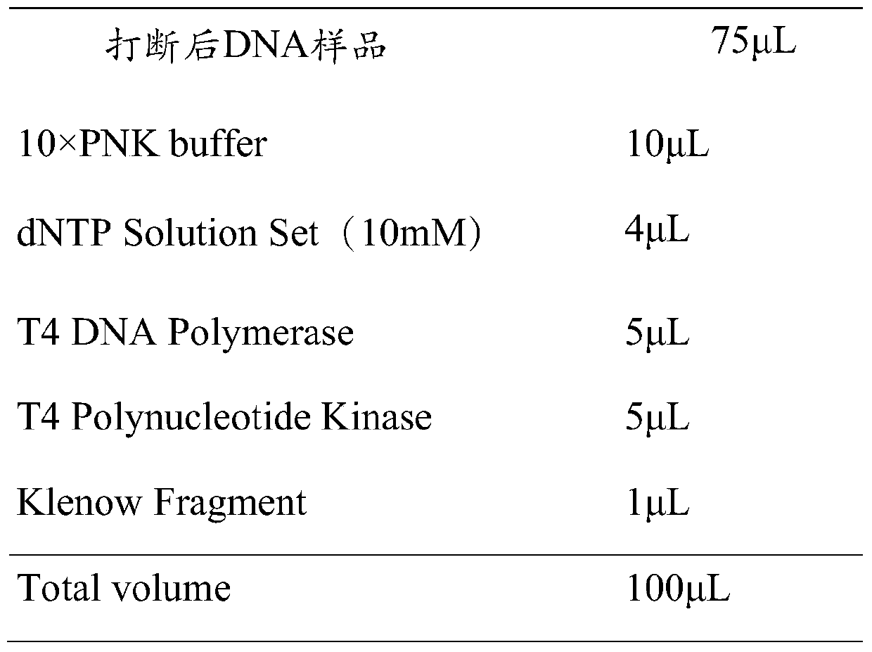 A method for constructing high-resolution, high-information single-cell hi-c libraries