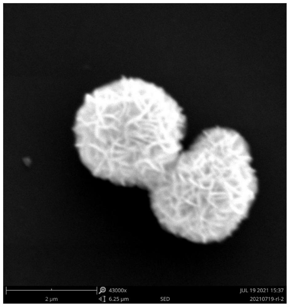 Nanosheet self-assembled spherical ferrous molybdate material as well as preparation method and application thereof