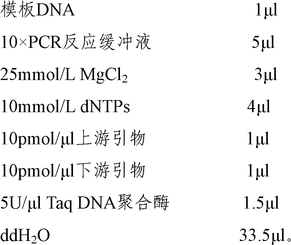 Method for authenticating Beijing fatty chickens by microsatellite markers