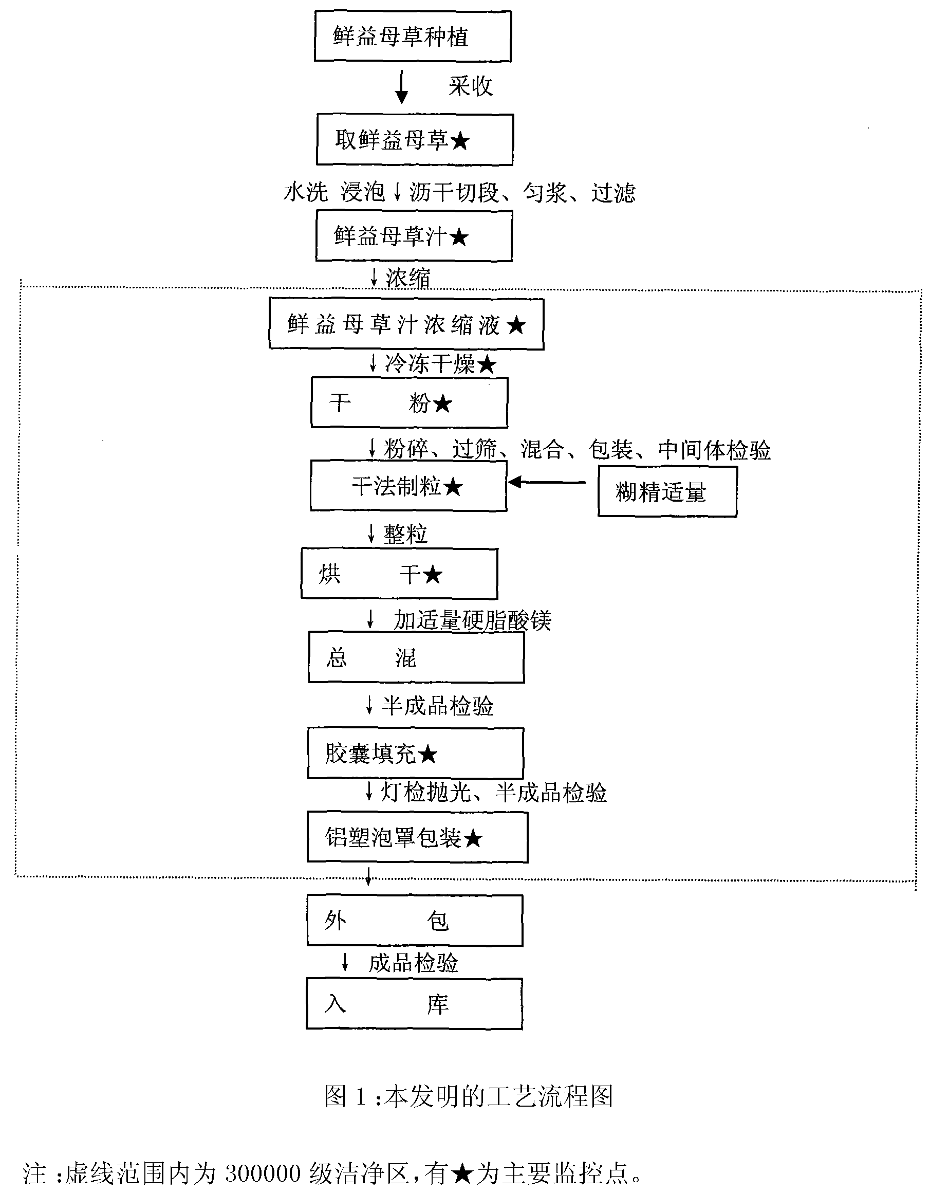 Method for preparing fresh motherwort preparation