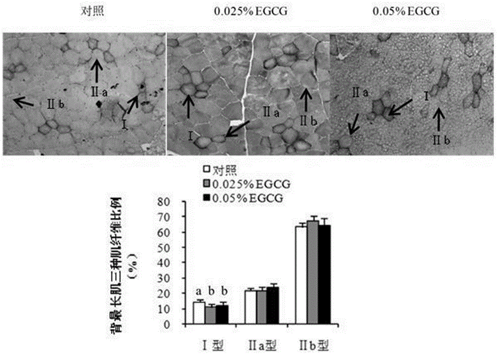 Application of epi-gallocatechin-gallate (EGCG) in respect of preparing pig feed additive