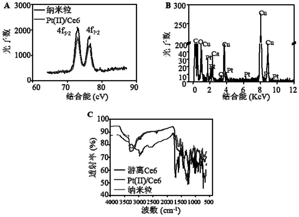 Platinum drugphotosensitizer-loaded protein nanoparticles and preparation method and application thereof