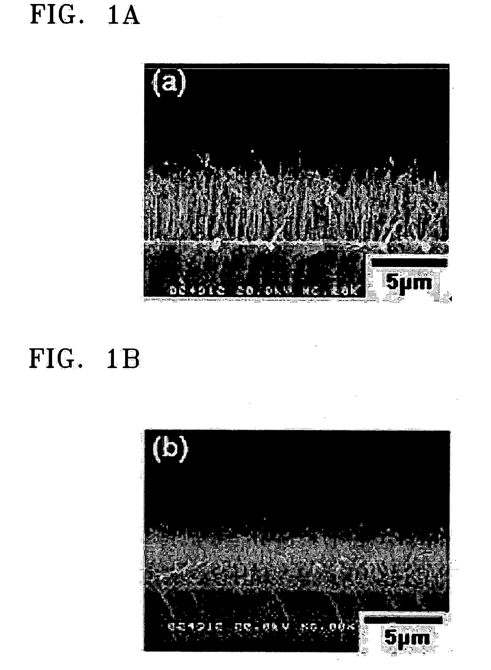 Photoanode using carbon nanotubes, method of manufacturing the photoanode, and photovoltaic solar cell including the photoanode