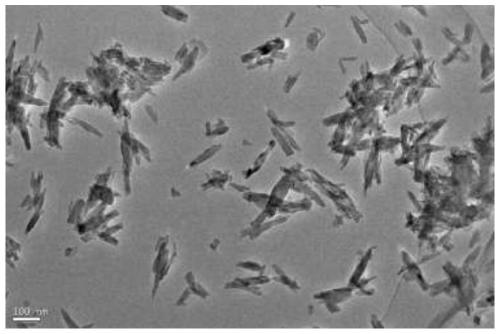 Aminoized hydroxyapatite/chitosan composite aerogel as well as preparation method and application thereof