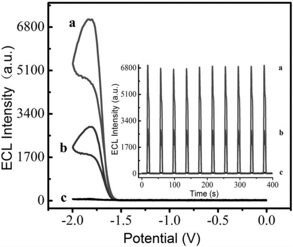 Meta-zinc tetraphenylporphyrin-based electrogenerated chemiluminescence body as well as preparation method and application thereof