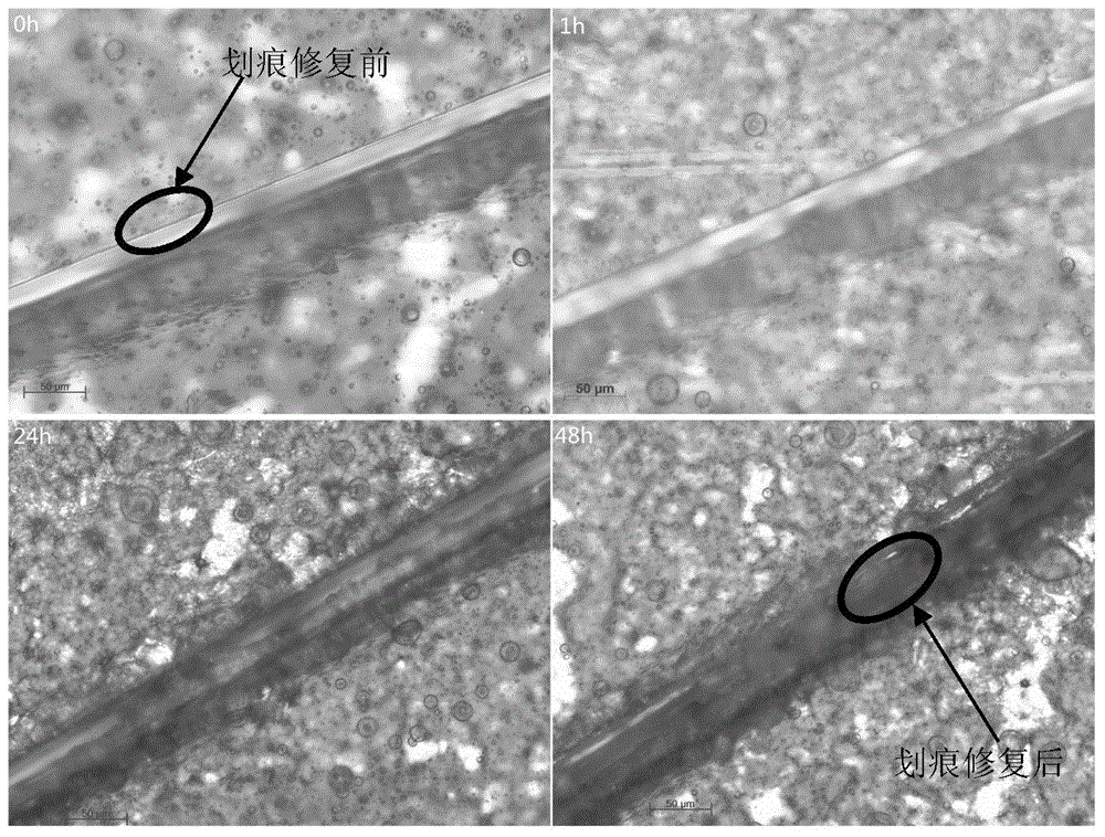 Metal surface anticorrosive coating comprising graphene and preparing method thereof