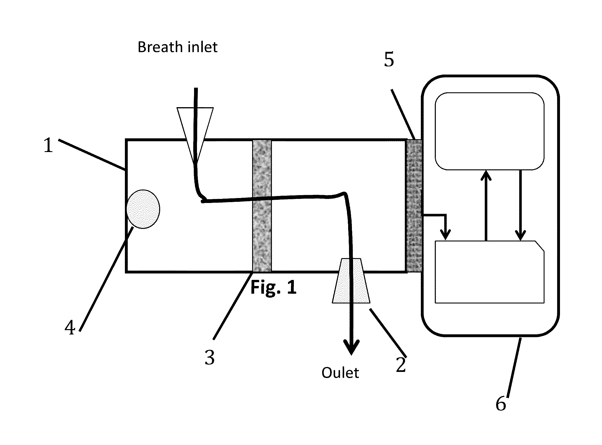 Metabolic analyzer