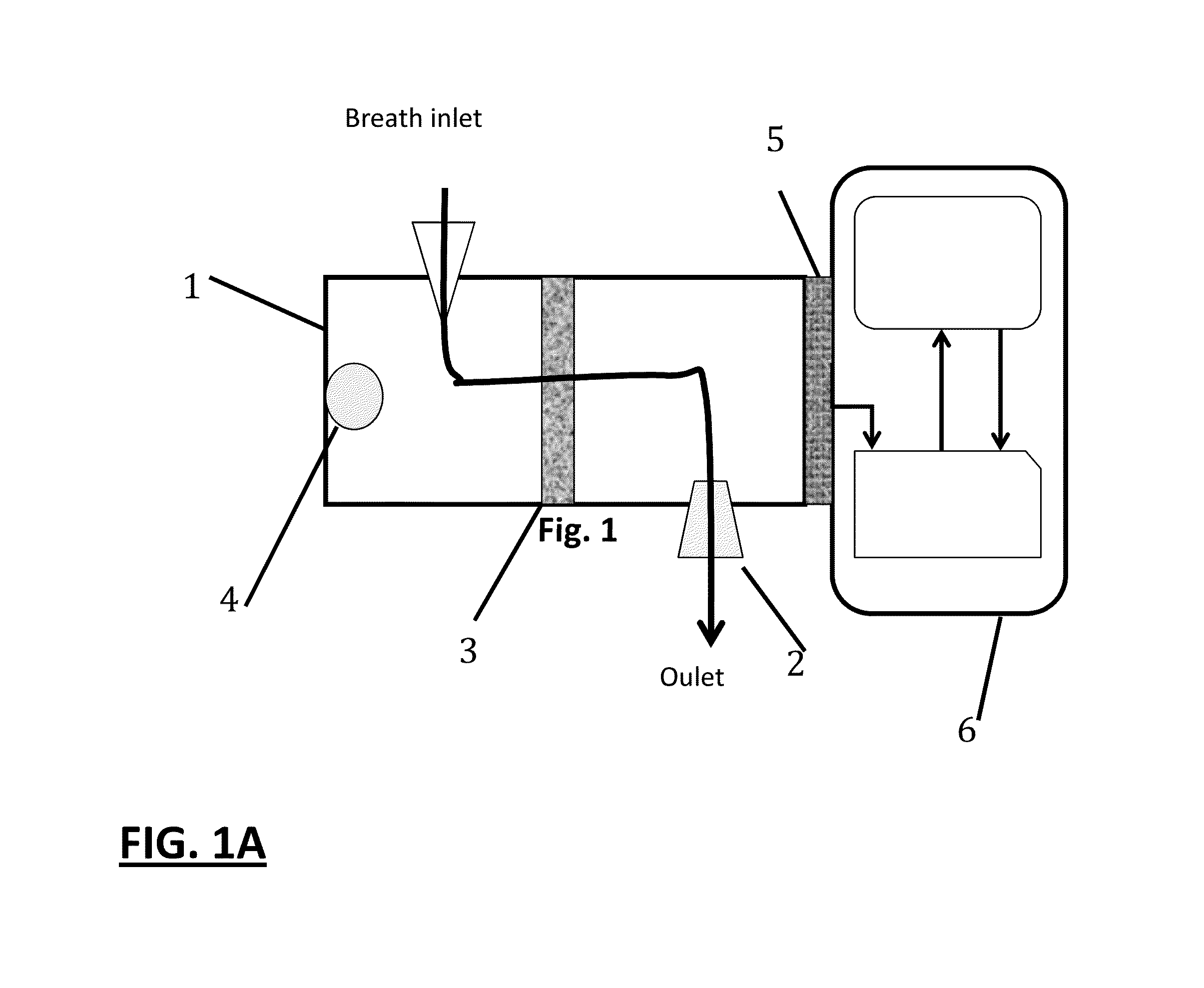 Metabolic analyzer