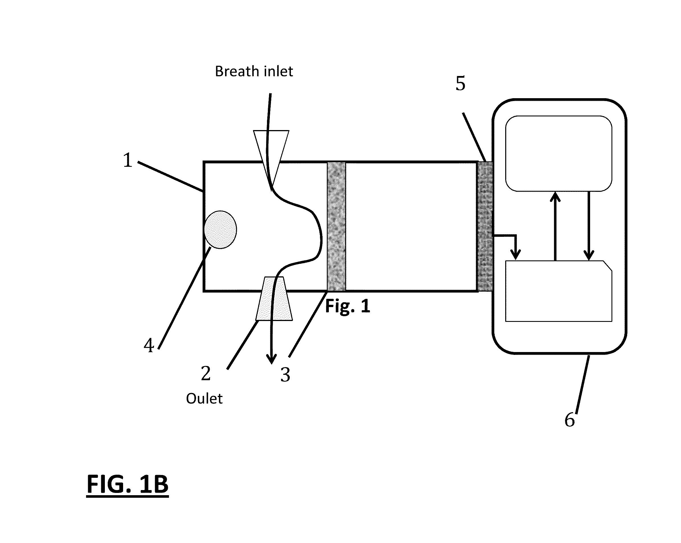 Metabolic analyzer