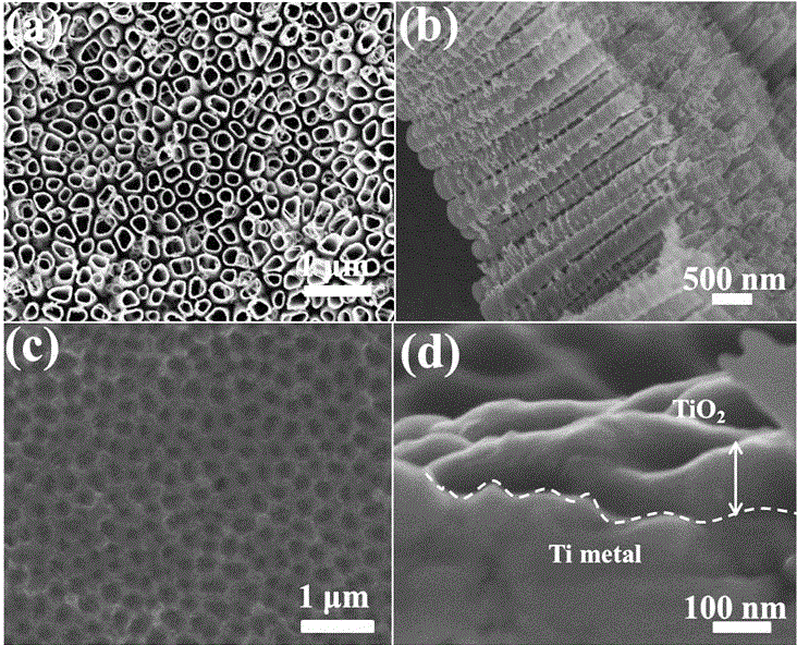 Manufacturing method of two-dimensional ordered TiO2 nanometer well film and application in self-energized photoelectric device