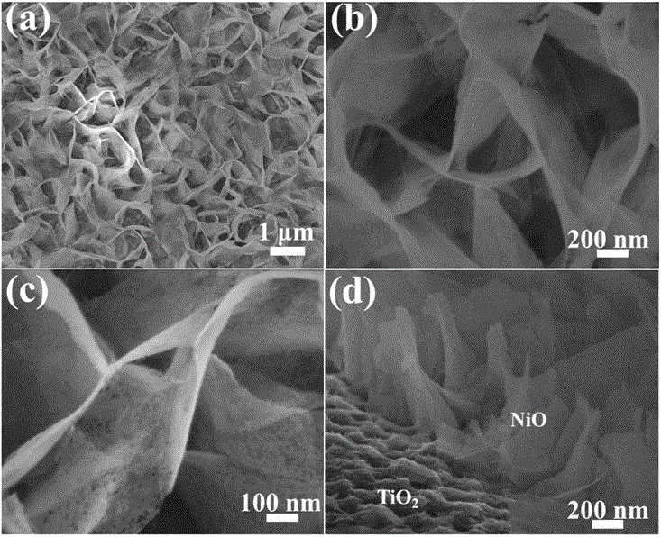 Manufacturing method of two-dimensional ordered TiO2 nanometer well film and application in self-energized photoelectric device