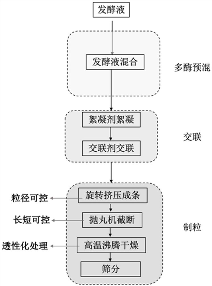 Preparation method and application of immobilized cells for tagatose production