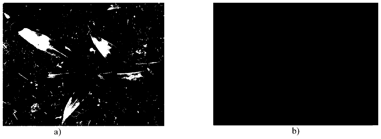 Field video image real-time segmentation system and method based on FPGA