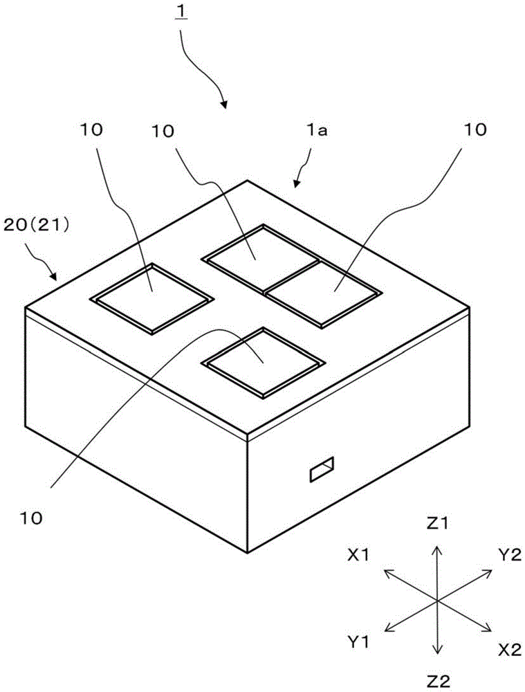 Input device