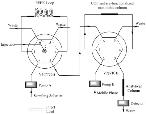 Online solid-phase microextraction and high-performance liquid chromatography combined detection method for novel benzodiazepine drugs