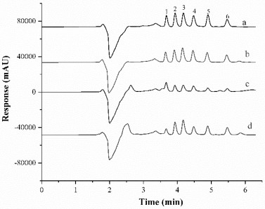 Online solid-phase microextraction and high-performance liquid chromatography combined detection method for novel benzodiazepine drugs