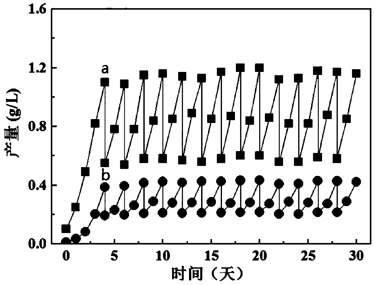 Method of increasing oil yield and in-situ flocculation harvesting efficiency of microalgae growing in sewage