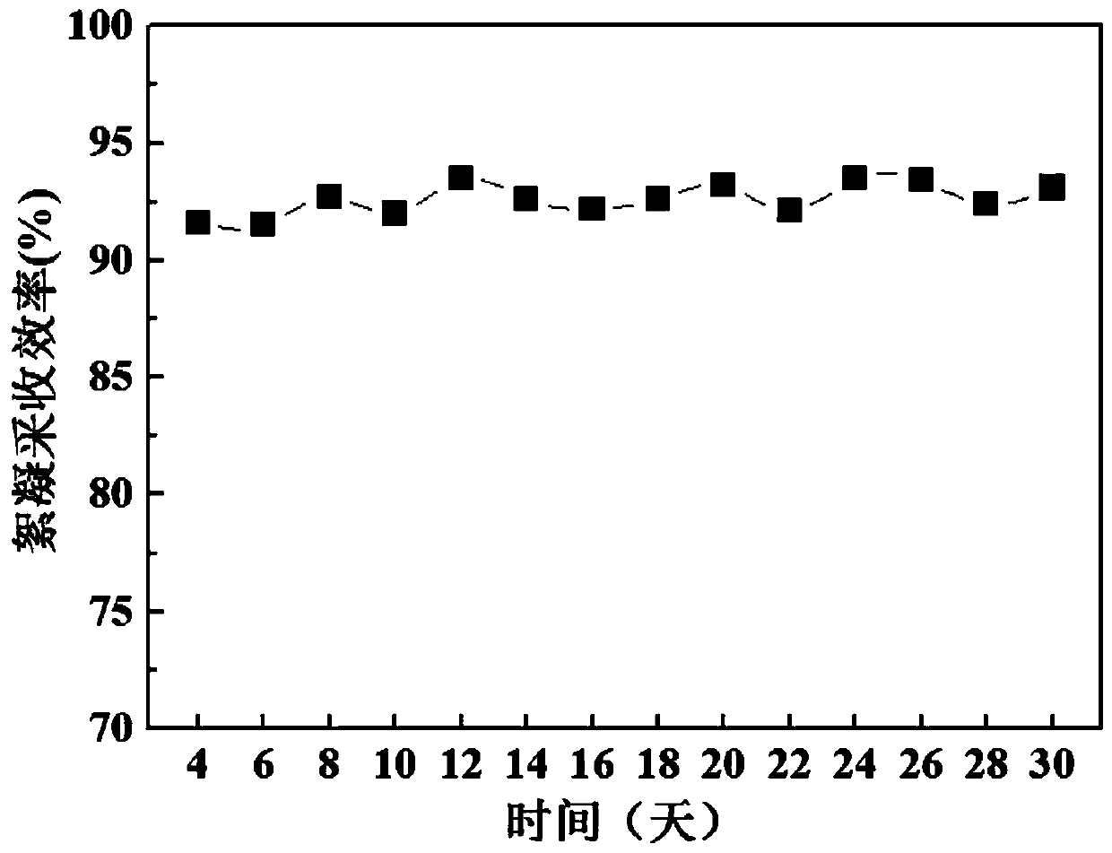 Method of increasing oil yield and in-situ flocculation harvesting efficiency of microalgae growing in sewage